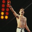 Freddie Mercury. Foto: Getty Images
