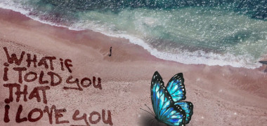 WHAT IF I TOLD YOU THAT I LOVE YOU ALI GATIE