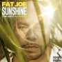 fat joe