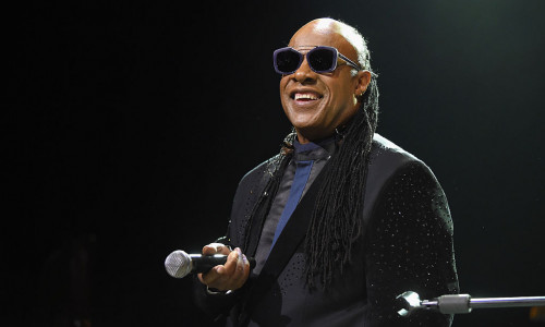 Stevie Wonder