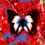 2step_edsheeran
