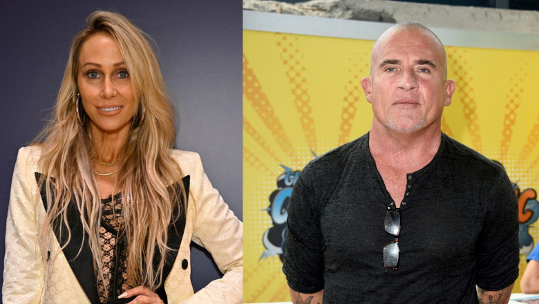 tish cyrus si dominic purcell