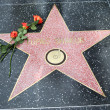 Tupac Shakur, onorat cu o stea pe Walk of Fame/ Profimedia