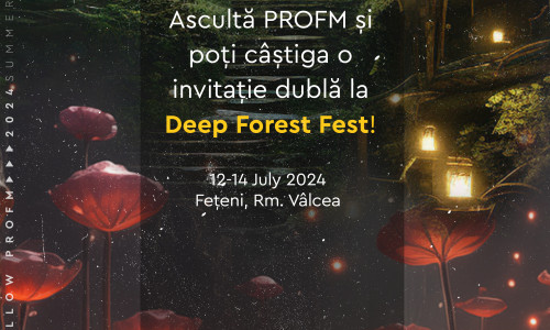 KV deep forest follow profm