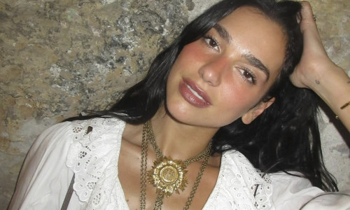 Dua Lipa on social media