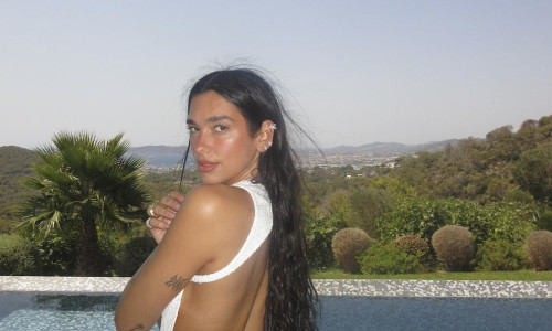 Dua Lipa on social media