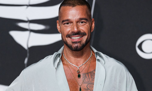Ricky Martin/ Profimedia