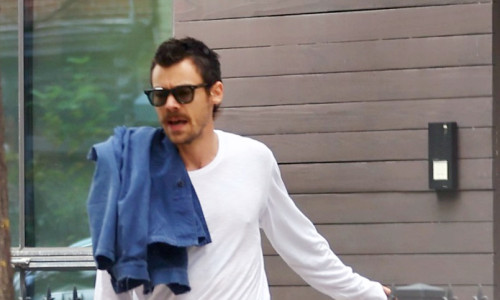 PREMIUM EXCLUSIVE: Harry Styles and Zoe Kravitz Meet up With Lenny Kravitz in New York City.