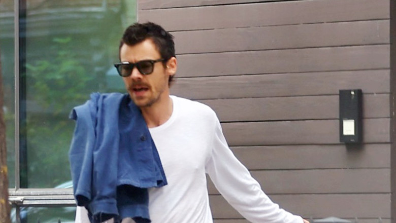 PREMIUM EXCLUSIVE: Harry Styles and Zoe Kravitz Meet up With Lenny Kravitz in New York City.
