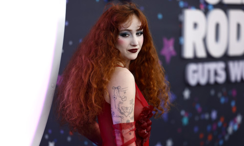 Los Angeles Premiere Of Netflix's 