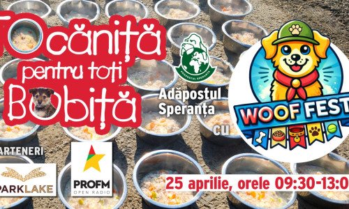 670925544_1366509235506440_7926807739815614014_n