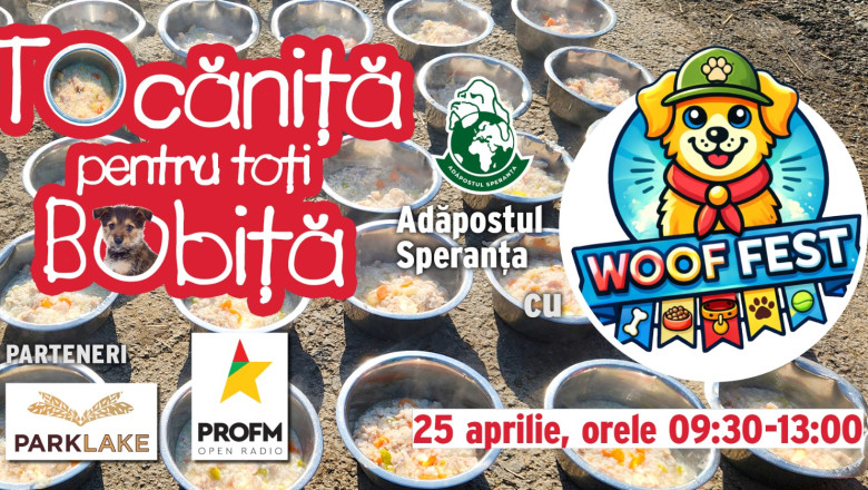 670925544_1366509235506440_7926807739815614014_n