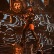 Alexandra Căpitănescu, Eurovision 2026