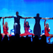 The Pussycat Dolls