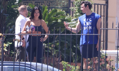 Dua Lipa și Callum Turner
