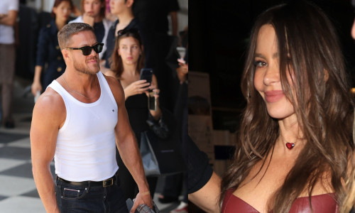 dan reynolds, sofia vergara