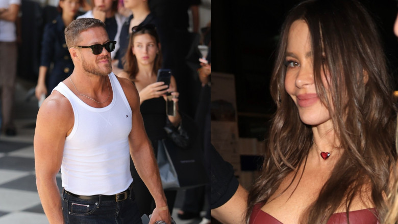 dan reynolds, sofia vergara