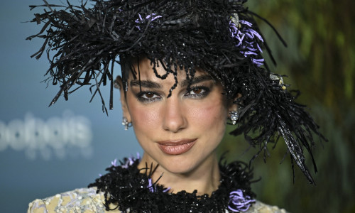 dua lipa (100)