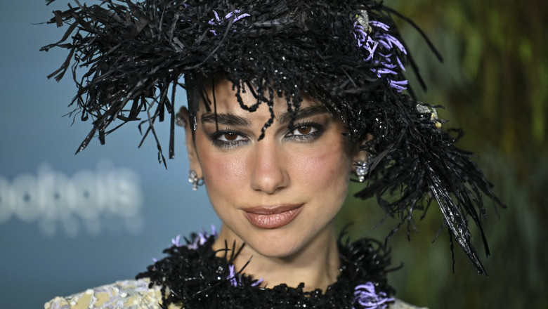 dua lipa (100)
