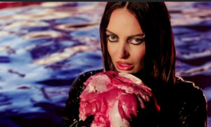 Delia a scos un videoclip controversat pentru piesa  “Sirena Apelor”
