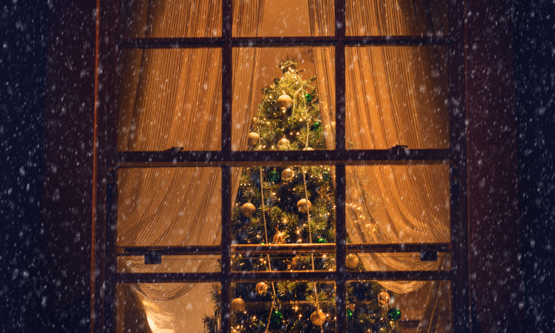 View of a Christmas tree through a living room window