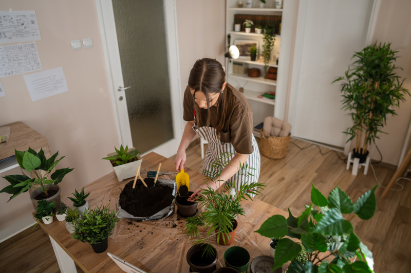 O femeie care are grija de plantele ei, le pune in givechi si le schimba pamantul