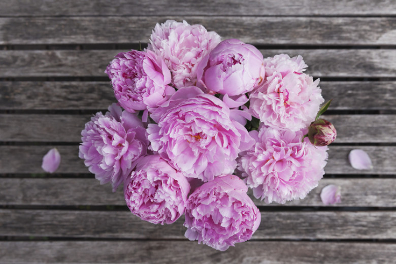 Pink peony bouquet on garden table
