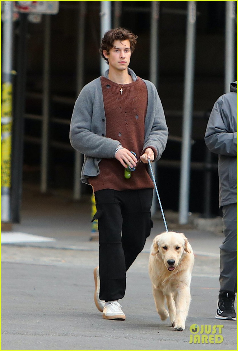 shawn-mendes-walks-his-dog-in-new-york-city-05