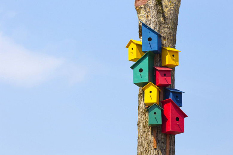 Colorful birdhouses on tree