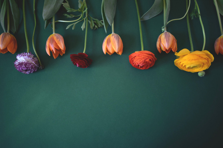 Spring flowers lie on a green background.