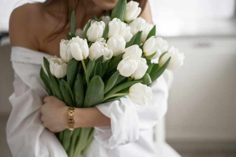 Bouquet of white tulips in elegant female hands, impersonal.