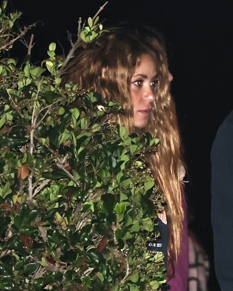 *EXCLUSIVE* Shakira keeps a low profile as she has a late-night dinner with friends in Malibu