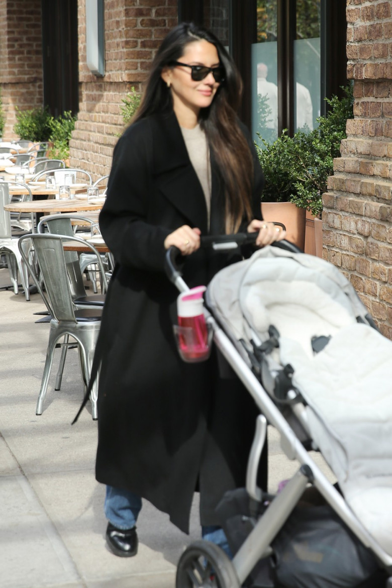 Olivia Munn Pushes Her Empty Uppababy Stroller In New York City