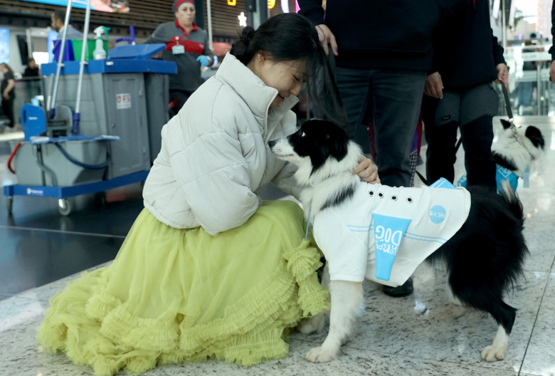 Therapy Dog Project launches in Istanbul Airport