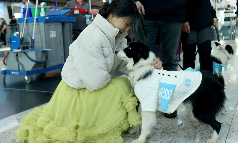 Therapy Dog Project launches in Istanbul Airport