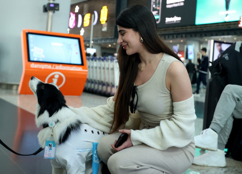 Therapy Dog Project launches in Istanbul Airport