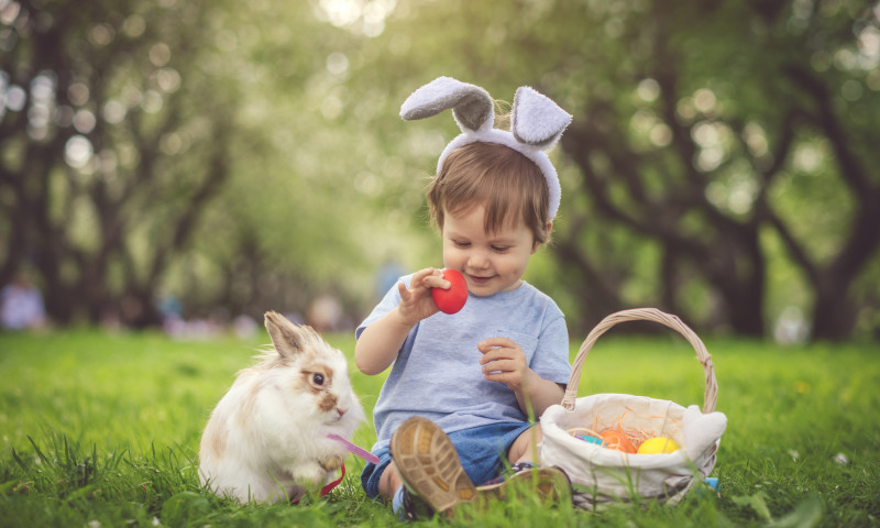 Cute little boy playing with bunny and Easter eggs