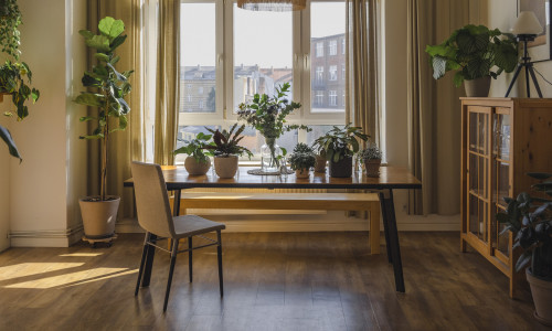 Various potted plants on table in living room at home