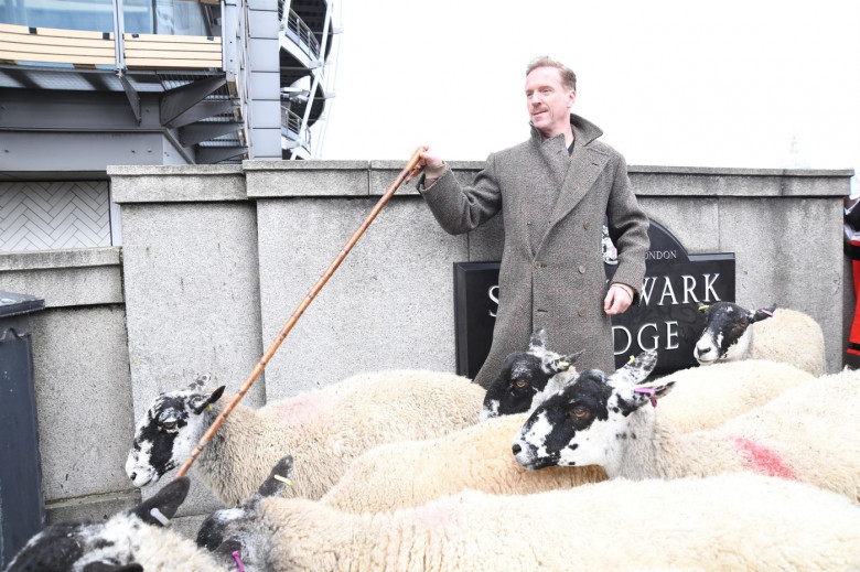 Damian Lewis along with Alison Mosshart attend the annual City of London Sheep Drive