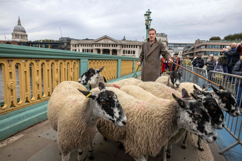 Damian Lewis leads London Sheep Drive across Southwark Bridge, London, UK - 29 Sep 2024