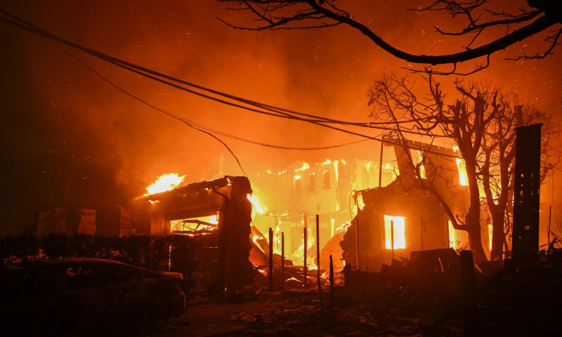 Wildfires tear through Los Angeles