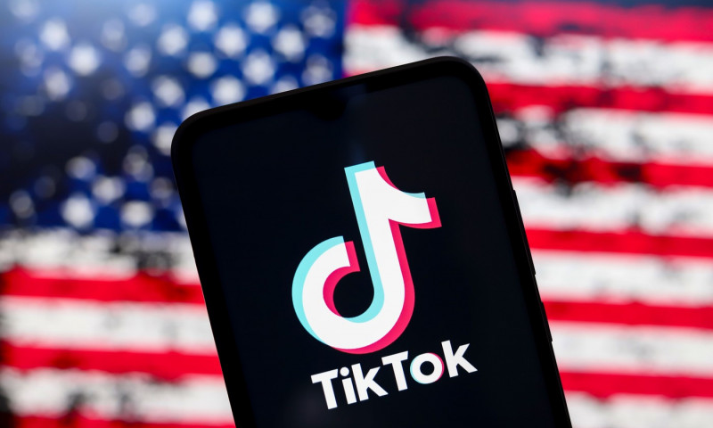 President Donald Trump Profile And TikTok Illustrations, Reno, United States - 28 Dec 2024