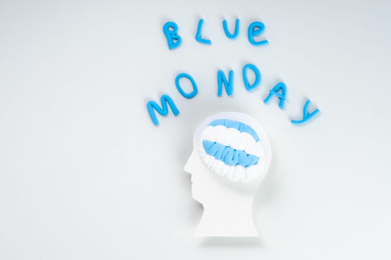 Silhouette of a human head with blue brain white background. Seasonal affective disorder. The concept Blue Monday. top view . High quality photo