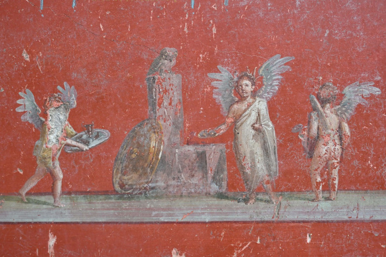 Presentation at the Regio IX of the Pompeii excavations