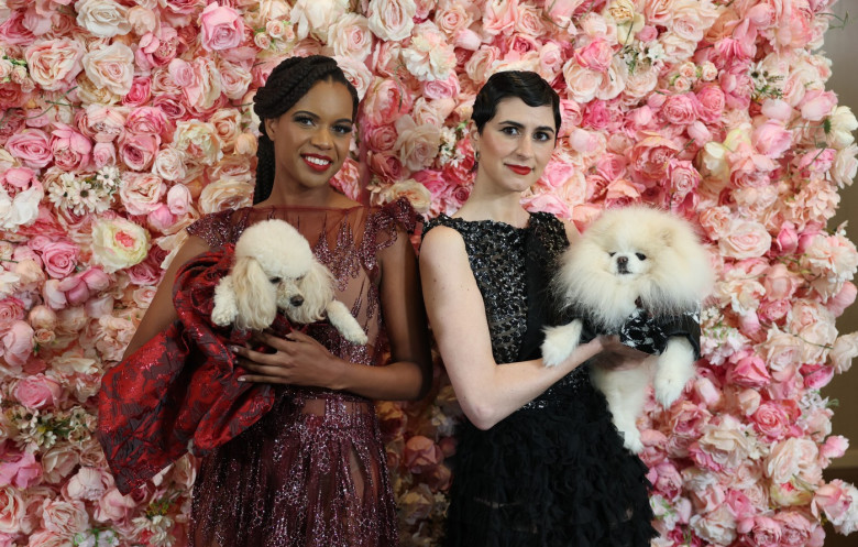pet-gala (21)
