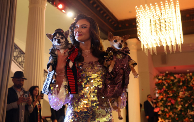 pet-gala (24)