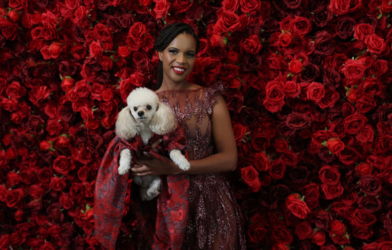 pet-gala (3)