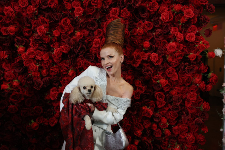 pet-gala (1)