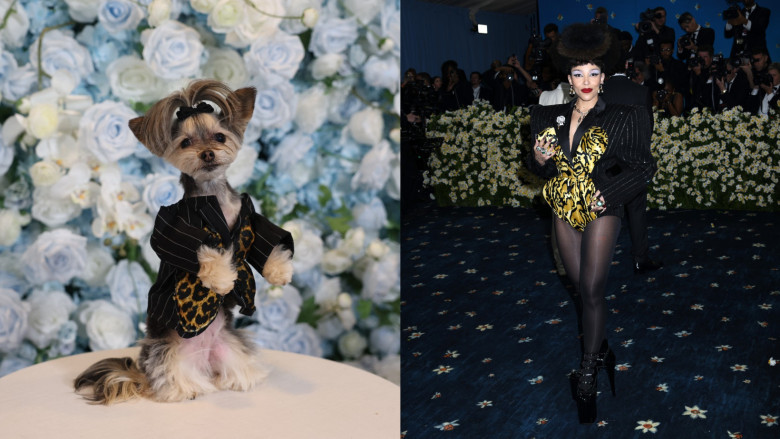 pet-gala-vs-met-gala (1)