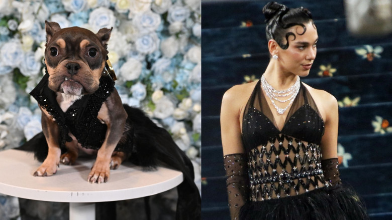 pet-gala-vs-met-gala (2)